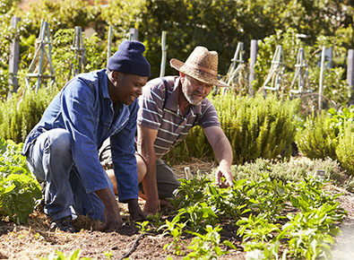 two men working in a garden